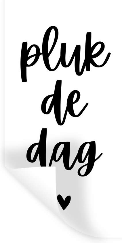 Muurstickers Sticker Folie Quotes Carpe Diem Spreuken Pluk De