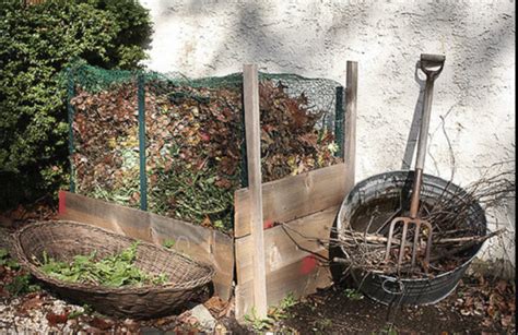 Composting 101 The Basics Of Turning Scraps Into Nutrients For Your Garden