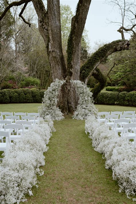 Minimalistic Babies Breath Wedding Meadowlark Atlanta Green