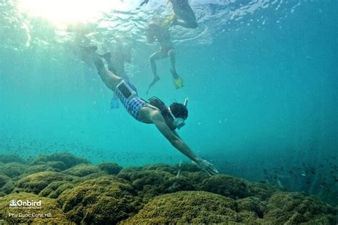 Onbird Private Adventure Snorkeling Explore Half Moon Reef Coral