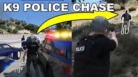 K9 Chases Suspect Real Cop Plays Gta V Rp Youtube