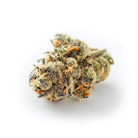 Purple Diesel Strain - Energetic and Uplifting