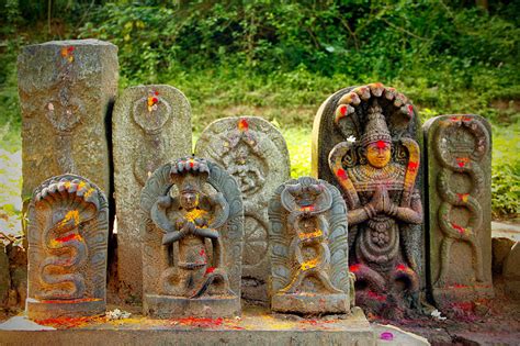 Nagas The Snake Worshippers Were Revered In 26 Countries