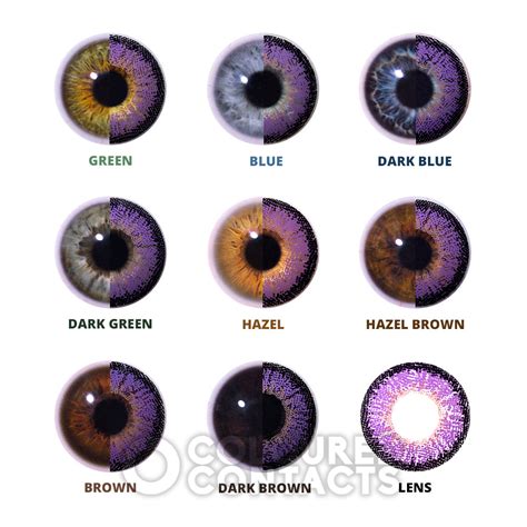 Nymph Purple 30 Day | Fantasy Colored Contact Lenses