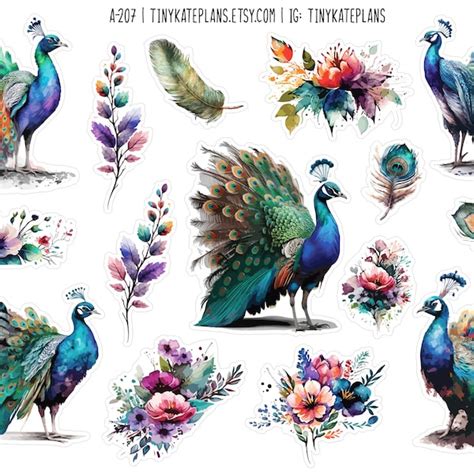 Peacock Stickers Etsy