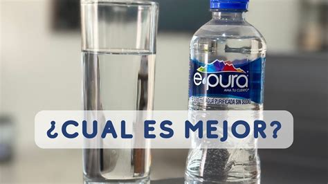 Diferencias Clave Entre Agua Potable Y Purificada Beatriz Arroyo