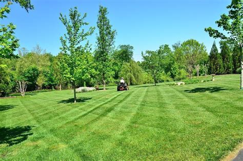 Lawn Care Tips And Maintenance For All Seasons Prim Mart