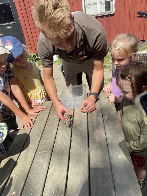 Stort tack till Stiftelsen Karin och Ernst August Bångs minne för en