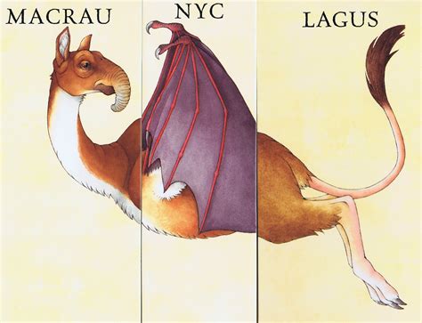 black  white chimeras