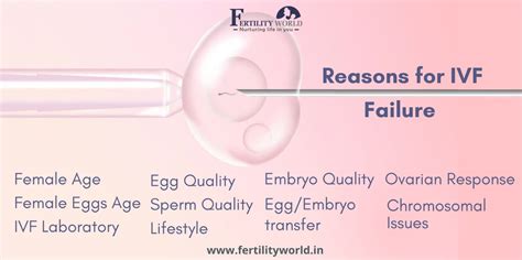 What Are The Reasons For Ivf Failure Fertilityworld