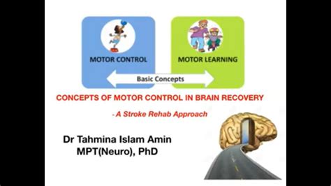 Concepts On Motor Control And Learning In Brain Recovery A Stroke Rehab