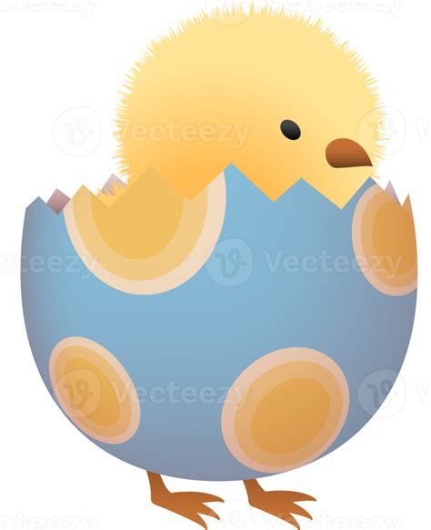 Chick In Broken Easter Egg With Oval Lower Part 21819996 Png