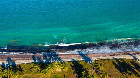 Beach Aerial Photography · Free Stock Photo