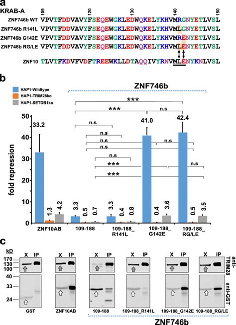 Mutation To A Conserved Glutamate Residue In Znf746b Krab A Potentiates