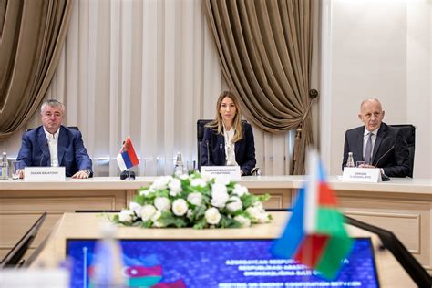 Azerbaijan And Serbia Sign Strategic Documents In The Field Of Natural