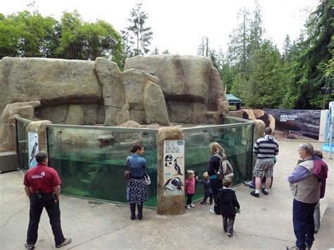 Penguin Point - Opened on May 18th, 2012 - ZooChat