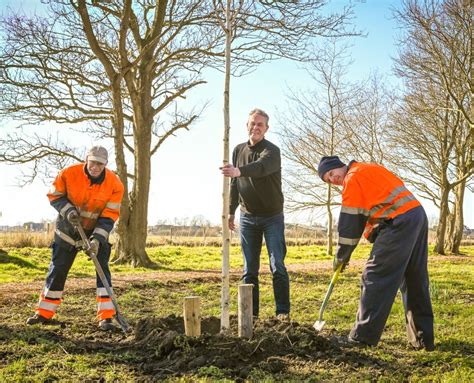 Boomfeestdag Verplaatst Naar November Hillegom Online