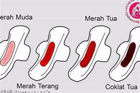 Perdarahan Karena Menstruasi Atau Positif Hamil Ini Perbedaannya Moms