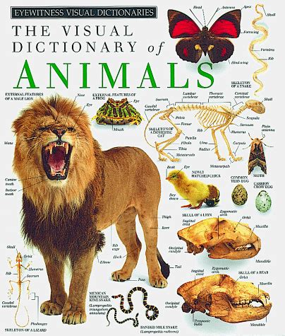 Visual Dictionary Animals: Books - AbeBooks