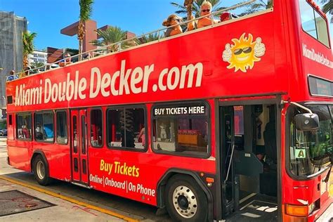 Passeio Turístico Sightseeing Bus e Cruzeiro em Miami Hellotickets