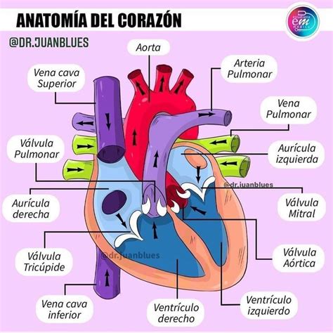 Enfermeria Studying Medicine Biology Facts Medicine Student