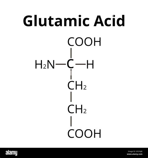 Glutamic Acid Structure