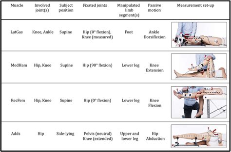 Change In Popliteal Angle And Hamstrings Spasticity During 50 Off