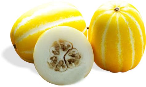MG Produce | Largest Suppliers of Korean melon or Chamae