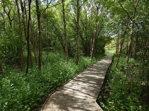 Paisley Moss Local Nature Reserve © Lairich Rig Geograph Britain And Ireland