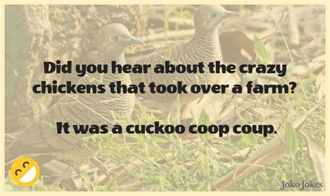 9+ Cuckoo Jokes And Funny Puns - JokoJokes