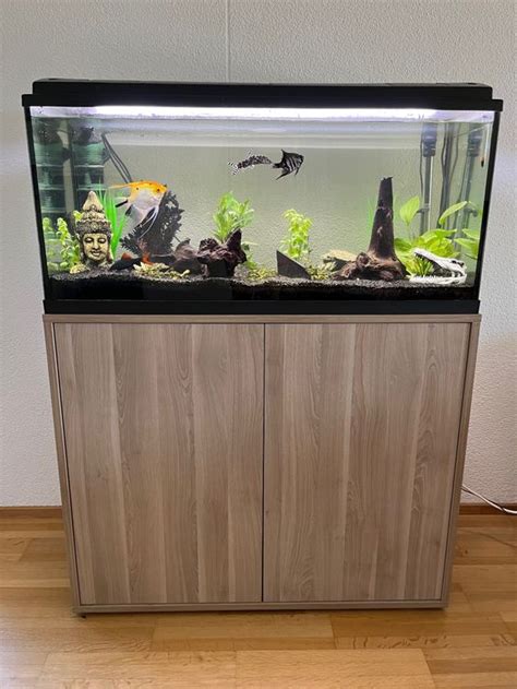 Aquarium Inkl Unterschrank Und Div Zubeh R Kaufen Auf Ricardo