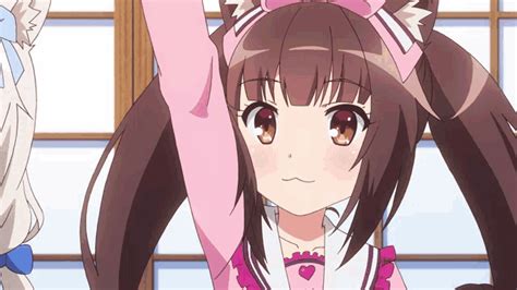 Nekopara Chocola GIF - Nekopara Chocola Vanilla - Discover & Share GIFs