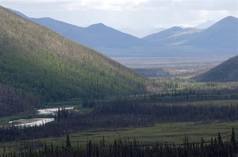 Brooks Range, Alaska Photograph by Michael S. Quinton