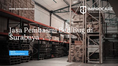 Jasa Pembasmi Bed Bug Di Surabaya PT Mahaka Improcare Indonesia