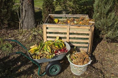 A Beginner's Guide to Compost Bins: Which One Will Work Best for You ...