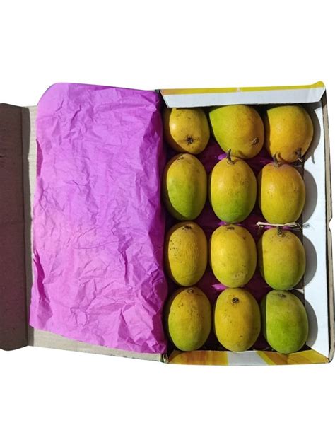 Yellow Organic Devgad Alphonso Mangoes Carton Packaging Size Kg