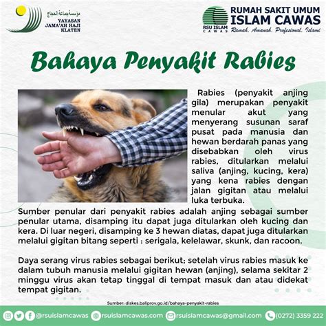 Bahaya Penyakit Rabies Rsu Islam Cawas