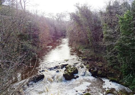 River Derwent From The Bridge Robert Graham Geograph Britain And