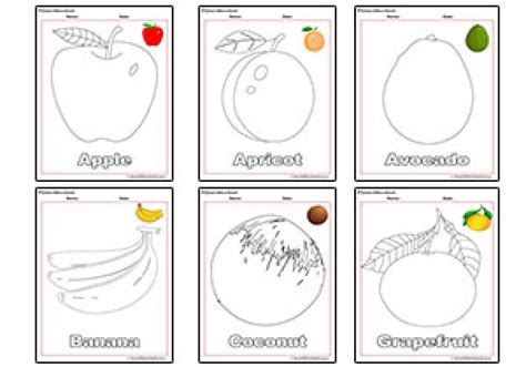 Fruits Drawing Worksheets