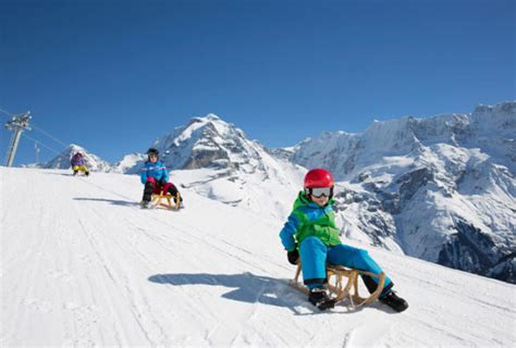 Sledging Sledding Is Serious Winter Fun In Switzerland ⋆ Snowaction