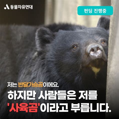 동물자유연대 펀딩 사육곰 해방을 위한 다큐멘터리 제작을 응원해주세요