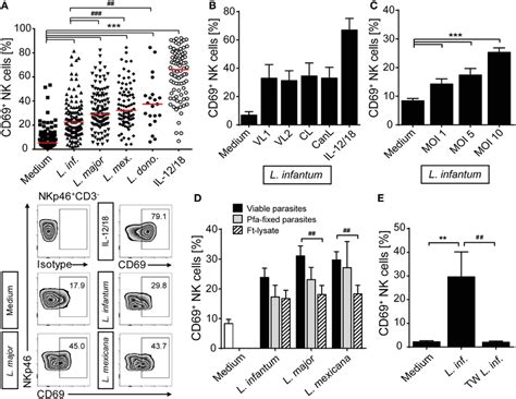 Cd69 Is Upregulated On Natural Killer Nk Cells After Contact With