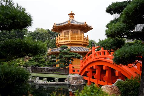 พิกัดถ่ายรูปฮ่องกง Nan Lian Garden และวัดนางชีฉีหลิน Chi Lin Nunnery Hong Kong