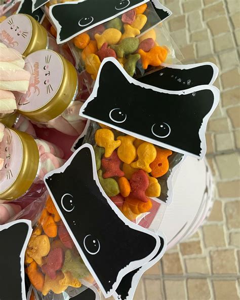 50 Cat Themed Birthday Party Ideas For Food Decor And Games