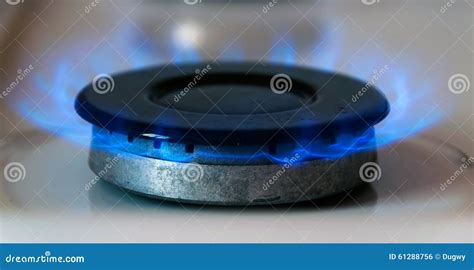 Gas burning stock photo. Image of energy, danger, blaze - 61288756