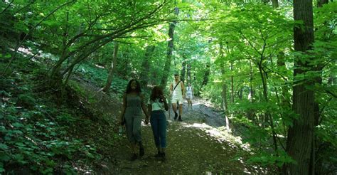 Budapest: Hiking Tour in the Buda Hills | GetYourGuide