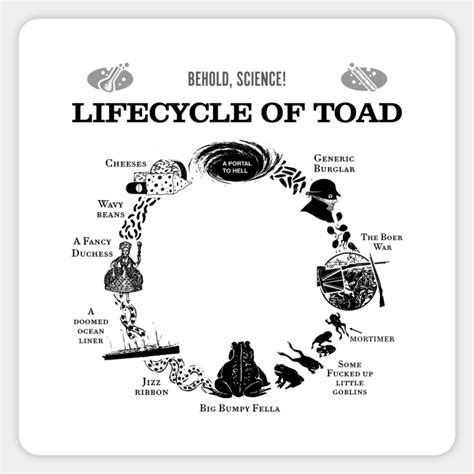 Cane Toad Life Cycle