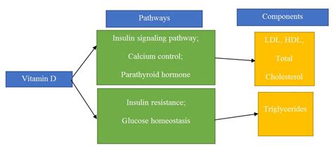 The Role Of Vitamin D Status In Modulating Dyslipidemia Essay Example