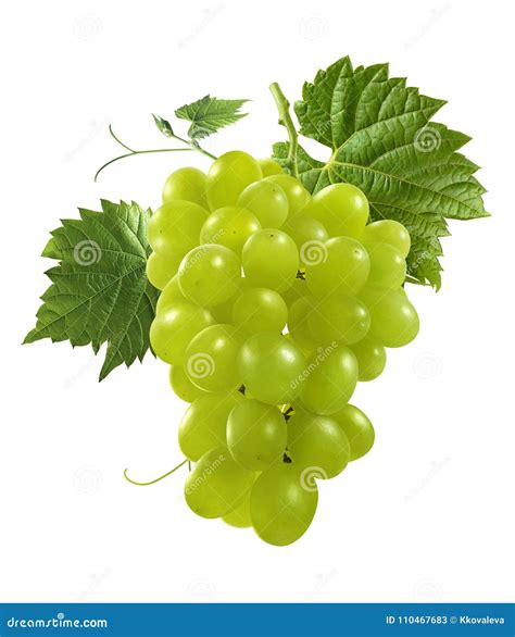 Manojo De Uvas Verdes Aisladas En El Fondo Blanco Imagen De Archivo