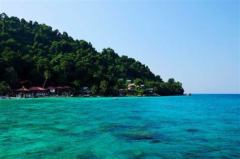 Coral Bay Teluk Aur Pulau Perhentian Kecil Ce Qu Il Faut